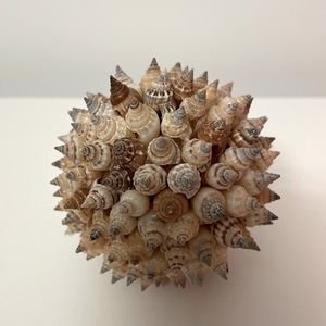 Shell Sphere Decoration